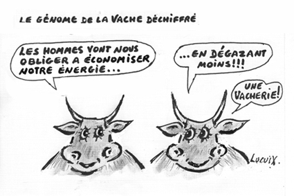 Le journal du pays basque 04