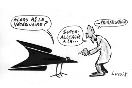 Le journal du pays basque 01