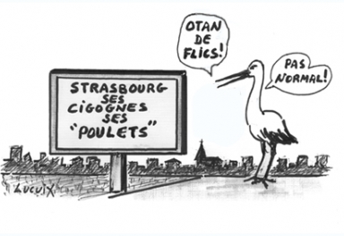 Le_journal_du_pays_basque-05 Le_journal_du_pays_basque-05