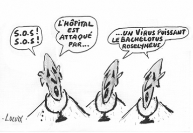 Le_journal_du_pays_basque-03 Le_journal_du_pays_basque-03
