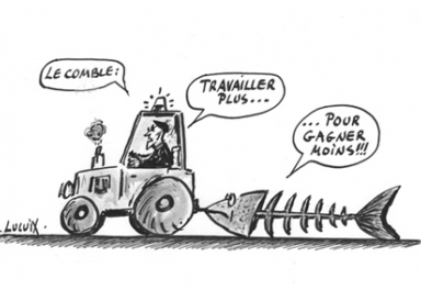 Le_journal_du_pays_basque-01 Le_journal_du_pays_basque-01