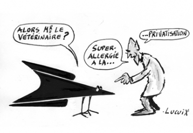 Le_journal_du_pays_basque-01 Le_journal_du_pays_basque-01