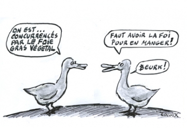 Le_journal_du_pays_basque-02 Le_journal_du_pays_basque-02